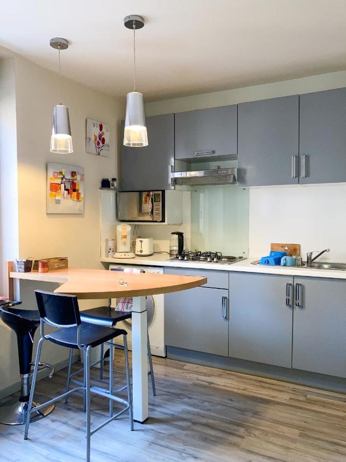 Le Balcon Victoria - Pepiniere & Canal -30M2 Apartment น็องซี ภายนอก รูปภาพ